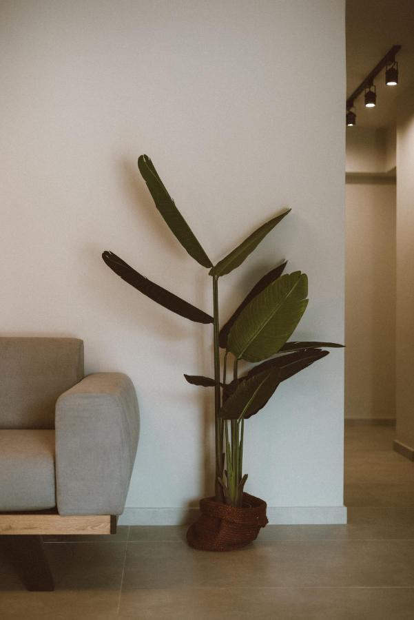 Galadriel Apartments Kato Yerakarion ภายนอก รูปภาพ
